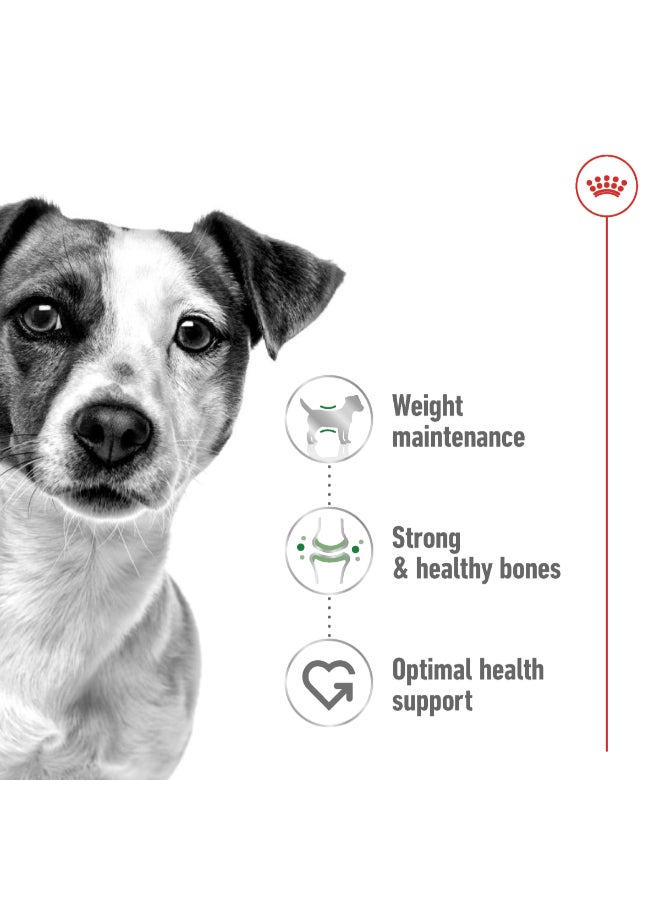 ROYAL CANIN - Size Health Nutrition Mini Adult 2kg - Image 1