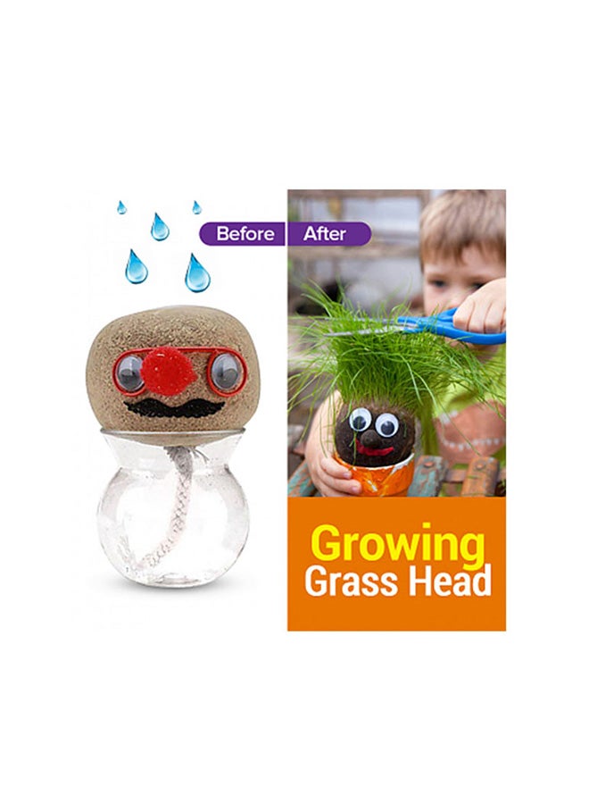 Growing Grass Head Grow For Small Time Indoor Plant 13x9cm - Image 4