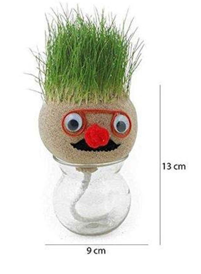 Growing Grass Head Grow For Small Time Indoor Plant 13x9cm - Image 2