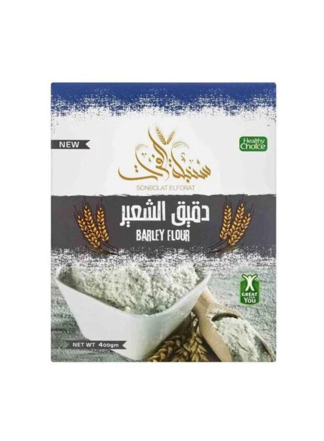 سعر ومواصفات سنبلة الفرات طحين بارلي سنبلة الفرات 400جرام (N30344968A) على Noon EG