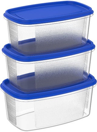 Plastic Food Savers Oval Containers Set Blue - pnsku/N30505192A/45/_/1746193685/9734484d-c55e-4810-bf53-7abc95ba3ac6