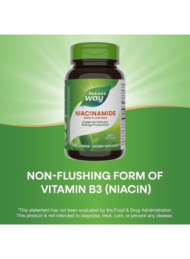 ناتشرز واي 100 كبسولة نياسيناميد 500 مليجرام - Image 1