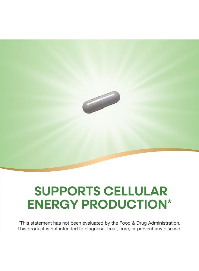 ناتشرز واي 100 كبسولة نياسيناميد 500 مليجرام - Image 2