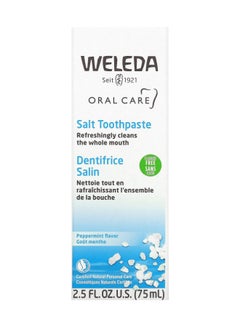 Weleda Oral Care, Salt Toothpaste, Fluoride Free, Peppermint, 2.5 Fl Oz  - Image 1