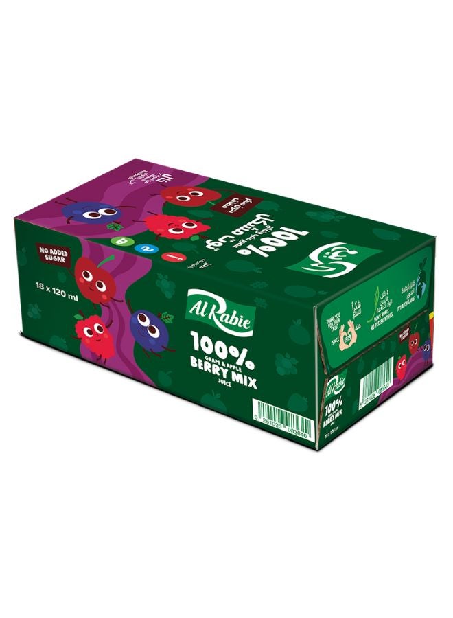 Al Rabie Premium Berries Mix Juice Mixed Berries 120ml Pack of 18 - Image 1