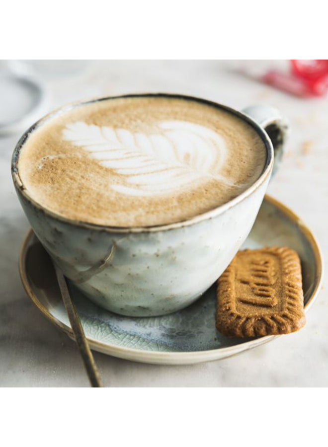 Lotus Biscoff Biscuit Original 279grams  - Image 3
