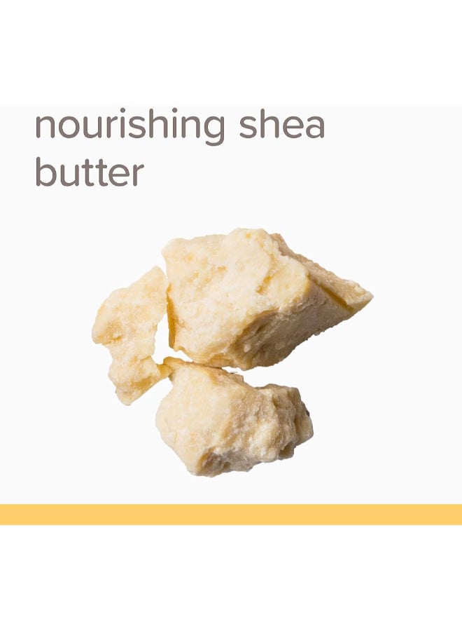 Burt's Bees - Belly Butter With Shea Butter And Vitamin E, 6.5 oz Packaging May Vary - Image 1