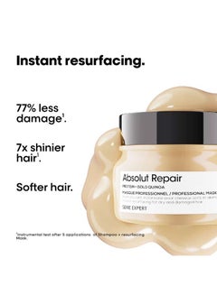 Absolut Repair Mask 250.0ml - pnsku/N31748053A/45/_/1717092899/f8afeacc-ed5e-4451-b62d-3cb9c66de7a7