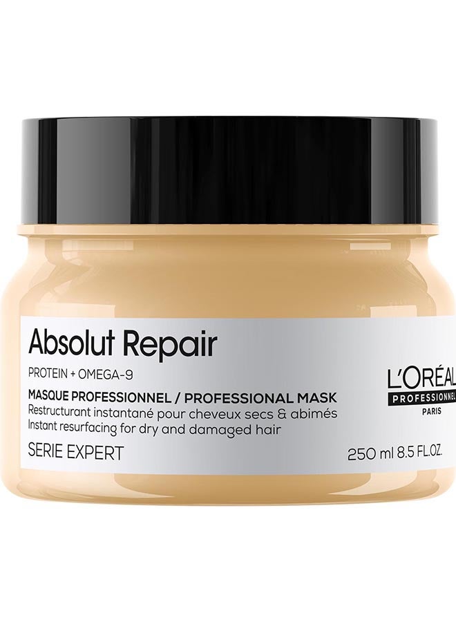 L'Oréal Professionnel Absolut Repair Mask for Dry and Damaged Hair 250.0ml - Image 1