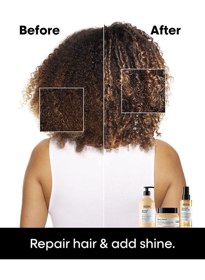 Absolut Repair Mask for Dry and Damaged Hair 250.0ml