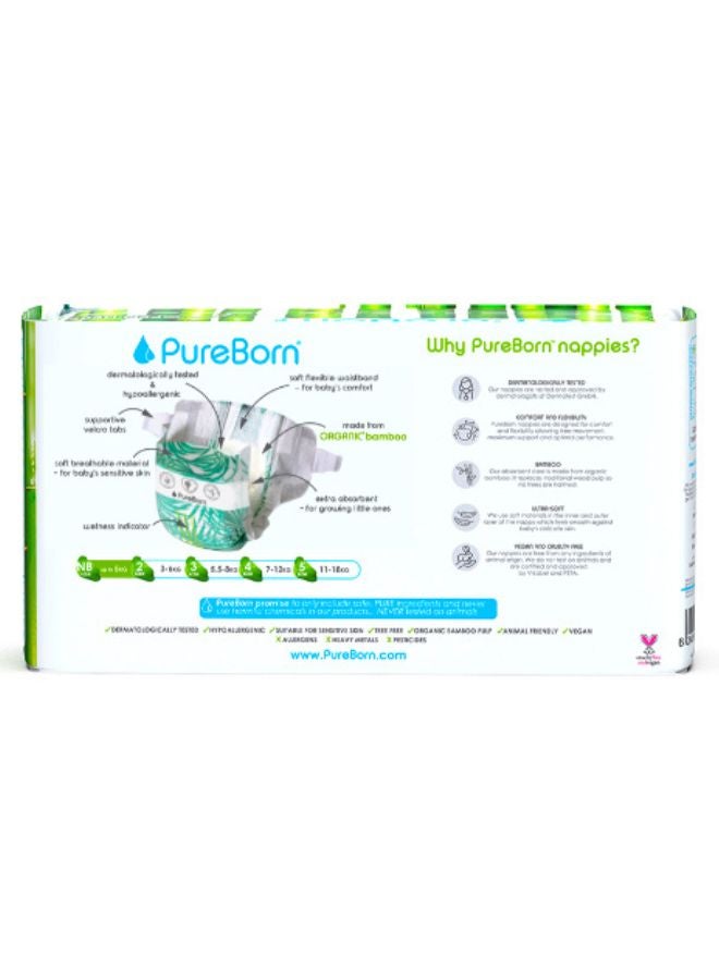 بيور بورن عبوة حفاضات عضوية بيور بورن لوزن 4.5 كجم تحوي 34 حفاضة - Image 3
