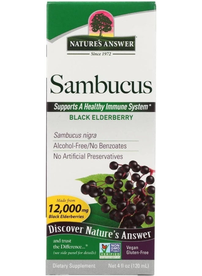 NATURE'S ANSWER Ambucus Dietary Supplement, Original For Daily Immune And Antioxidant Support 4 Fl Oz - Image 1