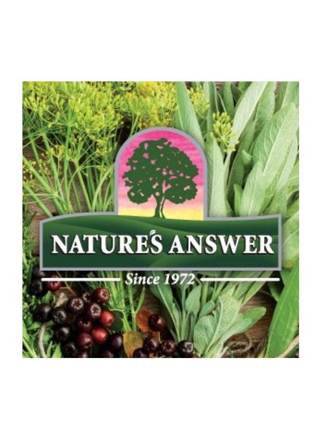 NATURE'S ANSWER Ambucus Dietary Supplement, Original For Daily Immune And Antioxidant Support 4 Fl Oz - Image 3