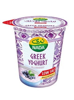 Greek Yogurt Blueberry Low Fat 360grams