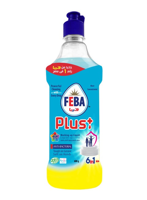 Plus Anti- Bacterial Liquid Dishwashing 600.0grams