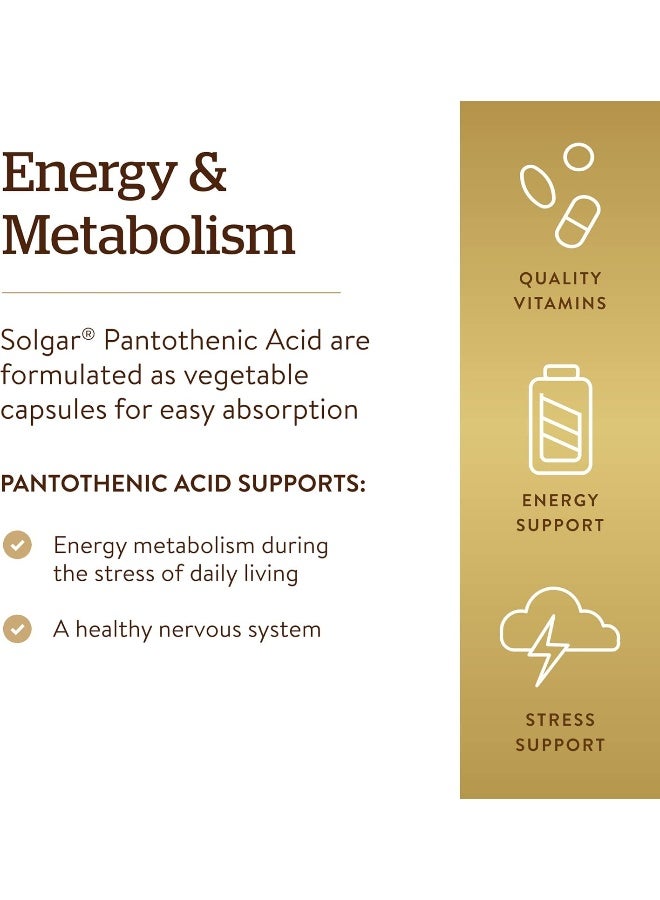 Solgar Pantothenic Acid, 550 mg, 100 Vegetable Capsules - Image 4