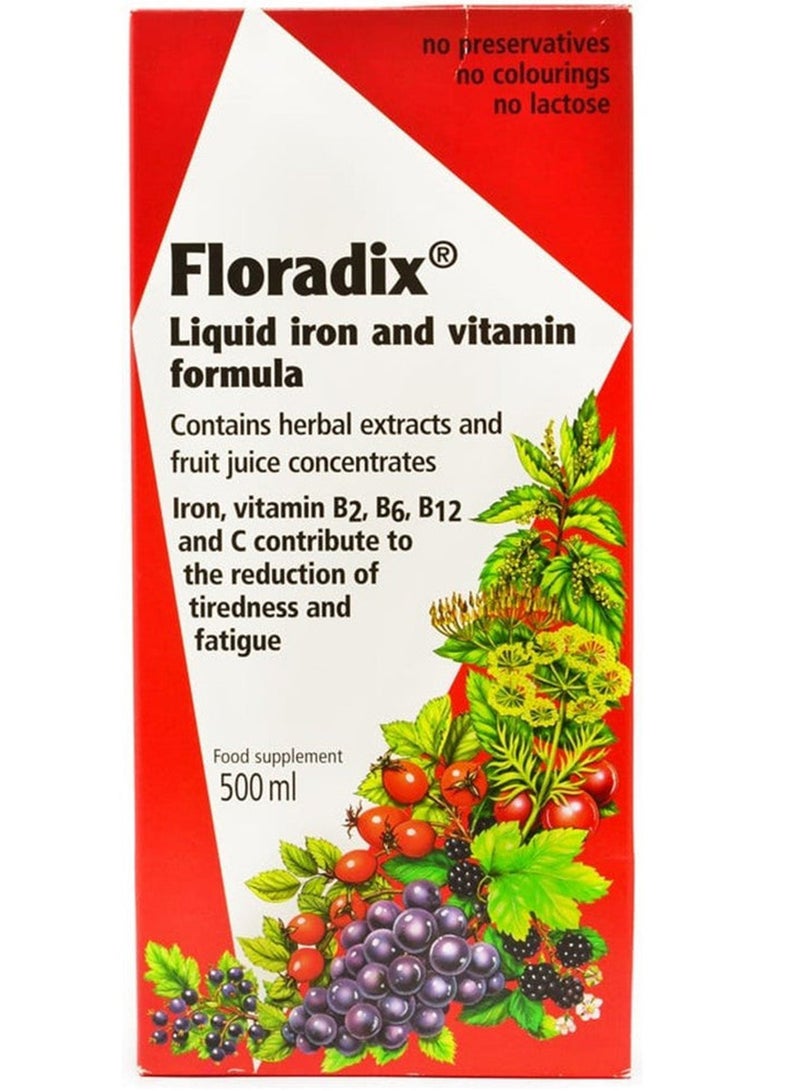 Floradix Iron Plus Herbs Supplement - Fruits 500 ml Packaging May Vary - Image 1