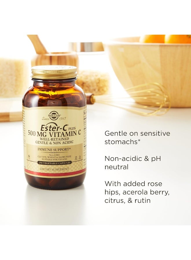 Solgar Ester-C Plus Vitamin C, 500 mg - 250 Vegetable Capsules Packaging May Vary - Image 5