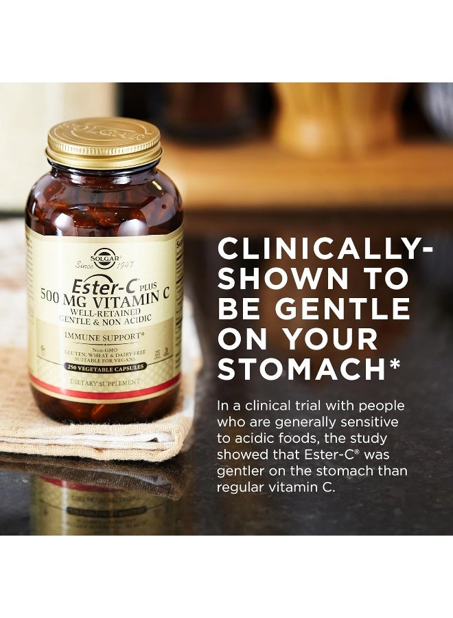 Solgar Ester-C Plus Vitamin C, 500 mg - 250 Vegetable Capsules Packaging May Vary - Image 3
