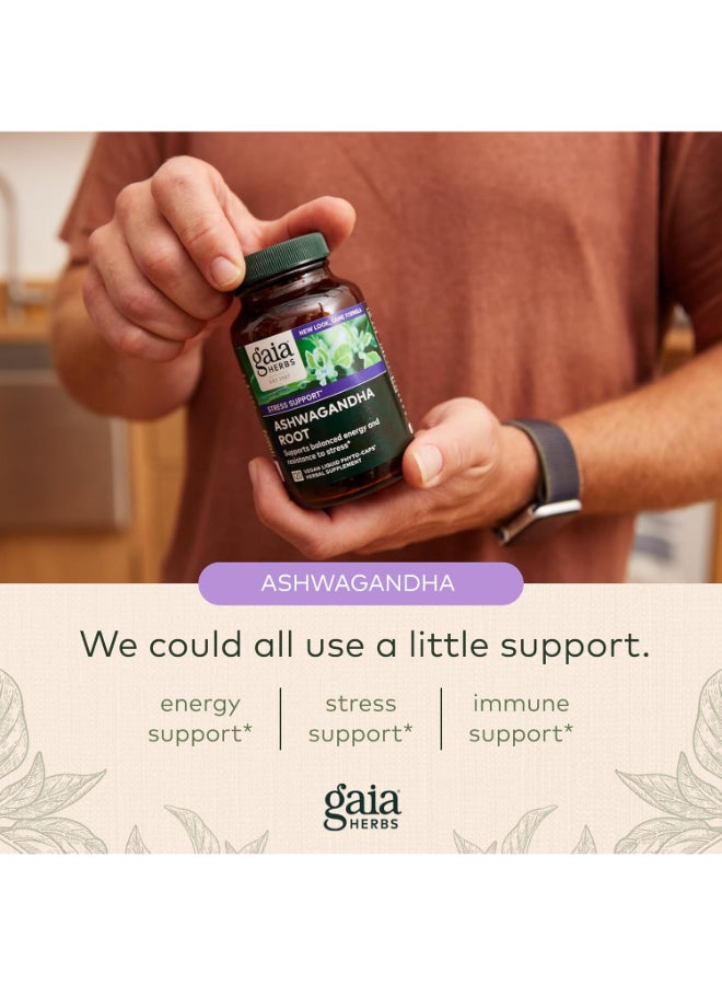 Gaia Herbs Pack Of 2 Ashwagandha Root, 2X120 Vegan Liquid Phyto-Caps  - Image 3
