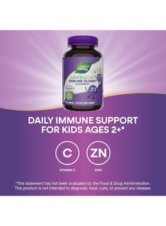 Nature's Way Sambucus Immune Elderberry 60 Gummies Packaging May Vary  - Image 2