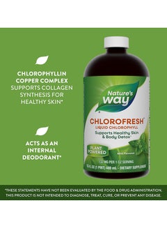Nature's Way Chlorofresh Liquid Chlorophyll Mint 16 Fl. Oz  - Image 4