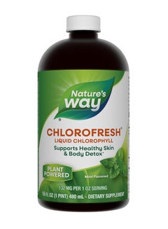 Nature's Way Chlorofresh Liquid Chlorophyll Mint 16 Fl. Oz  - Image 1