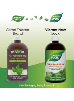 Nature's Way Chlorofresh Liquid Chlorophyll Mint 16 Fl. Oz  - Image 2
