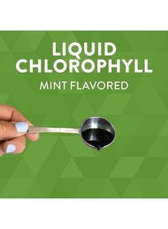 Nature's Way Chlorofresh Liquid Chlorophyll Mint 16 Fl. Oz  - Image 3