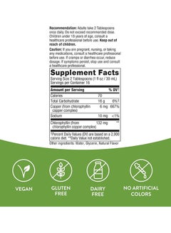 Nature's Way Chlorofresh Liquid Chlorophyll Mint 16 Fl. Oz  - Image 5