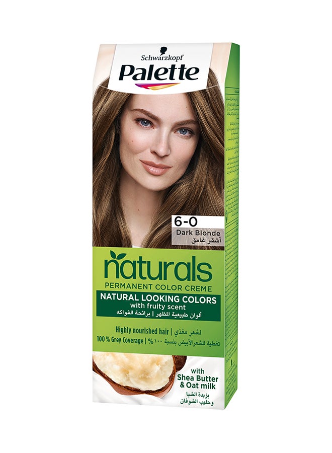 Palette Permanent Natural Hair Color Cream 6-0, Dark Blonde 110ml - Image 1