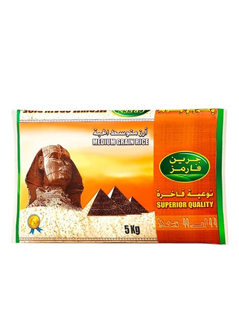 أرز مصري
