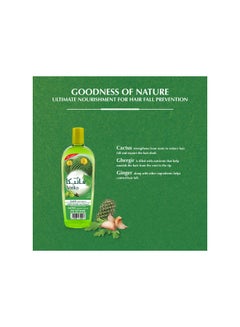 Dabur Vatika Naturals Cactus Enriched Anti-Hair Fall Oil 90ml + 10%OFF| Natural Extracts of Cactus, Olive & Cumin | For Strong & Smooth Hair 90.0ml  - Image 5