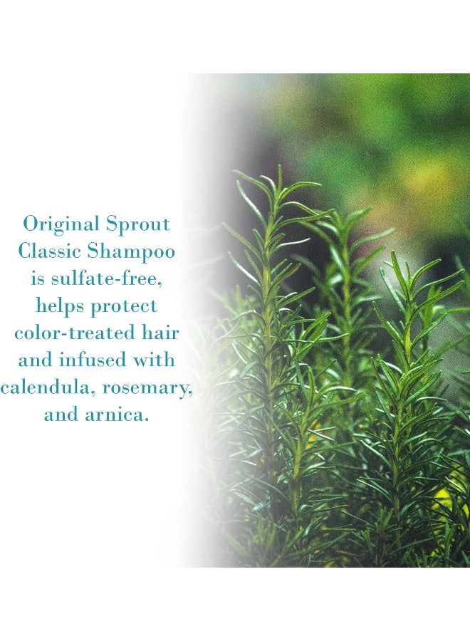 أوريجينال سبراوت شامبو الأطفال كلاسيك كوليكشن الذي لا يتسبب بالحساسية، سعة 354 مل - Image 3