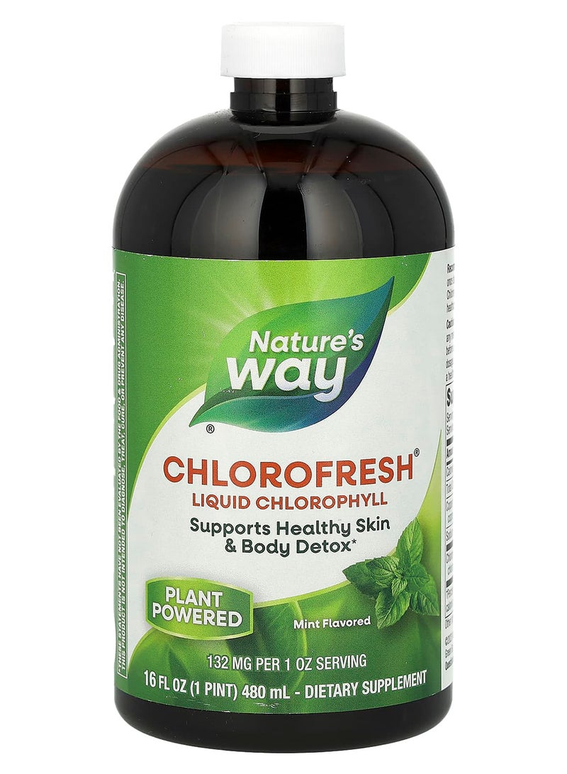 Nature's Way - Chlorofresh Liquid Chlorophyll Mint 132 Mg 16 Fl Oz 480 Ml - Image 1