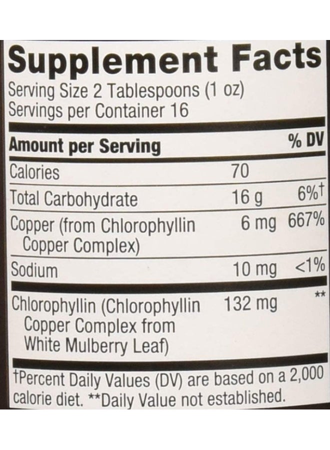 Nature's Way - Chlorofresh Liquid Chlorophyll Mint 132 Mg 16 Fl Oz 480 Ml - Image 1