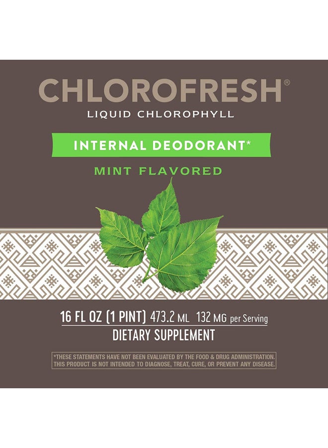 Nature's Way - Chlorofresh Liquid Chlorophyll Mint 132 Mg 16 Fl Oz 480 Ml - Image 1