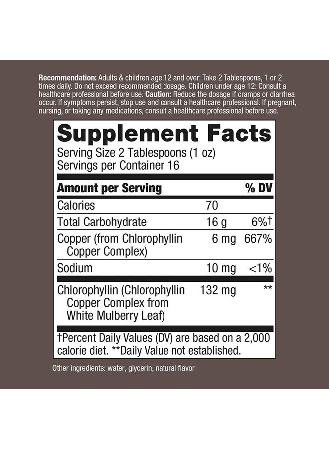 Nature's Way - Chlorofresh Liquid Chlorophyll Mint 132 Mg 16 Fl Oz 480 Ml - Image 1