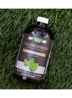 Nature's Way Chlorofresh Liquid Internal Deodorant, Unflavored 16 oz Packaging May Vary  - Image 5