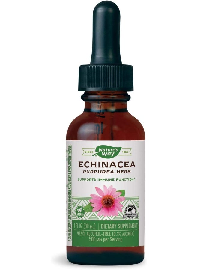 ناتشرز واي المكملات الغذائية العشبية إشناسيا بوربوريا - Image 3