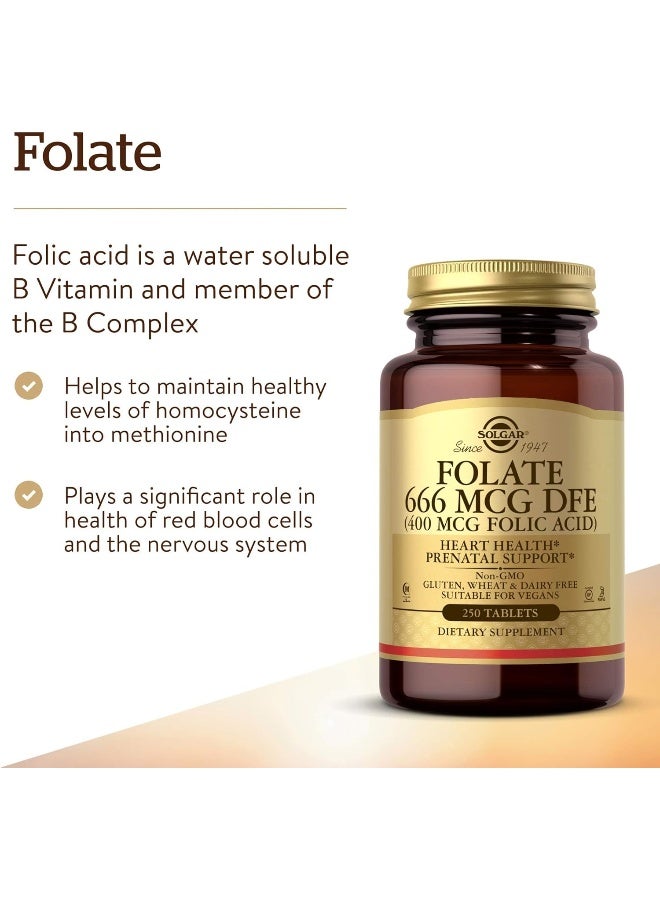Solgar Folate, Folic Acid, 400 mcg - 250 Tablets Packaging May Vary - Image 4