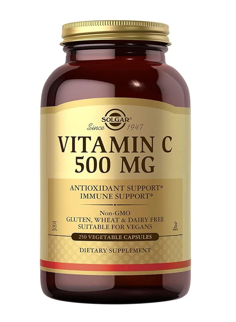 Solgar Vitamin C 500 Mg Antioxidant & Immune Support 250 Vegetable Capsules - Image 1
