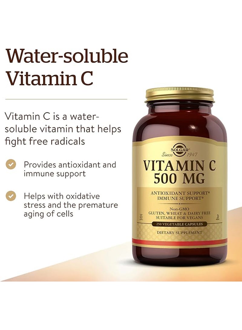 Solgar Vitamin C 500 Mg Antioxidant & Immune Support 250 Vegetable Capsules - Image 3