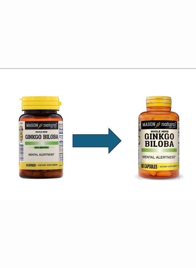 Mason Natural Ginkgo Biloba Dietary Supplement - 60 Capsules