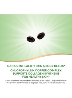 Nature's Way Chlorofresh Chlorophyll Concentrate 90 Softgels Packaging May Vary  - Image 3