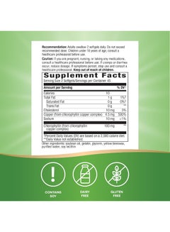 Chlorofresh Chlorophyll Concentrate 90 Softgels Packaging May Vary - pnsku/N33013333A/45/_/1738039088/bc243205-30e9-4e8a-8ce0-92ce9fab63cd