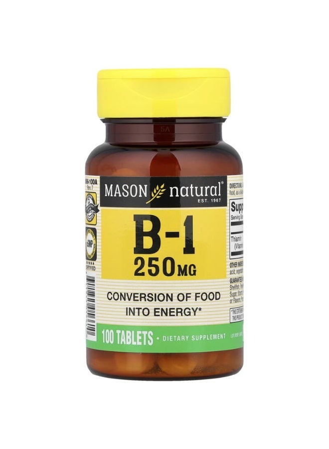 Mason Natural, Vitamin B-1, 250 mg, 100 Tablets - Image 1