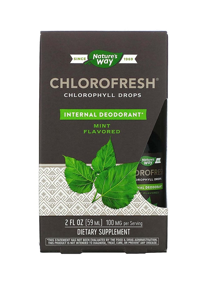 Nature's Way Chlorofresh, Chlorophyll Drops, Mint, 2 fl oz Packaging May Vary - Image 2