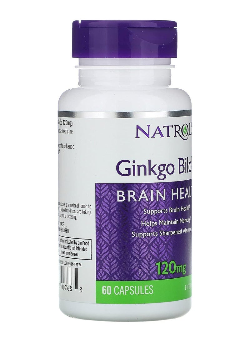 Natrol Ginkgo Biloba Brain Health Dietary Supplements 120mg - 60 Capsules - Image 3