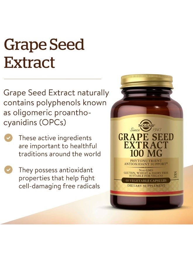 Solgar Grape Seed Extract, 100 mg - 60 Vegetable Capsules - Image 3